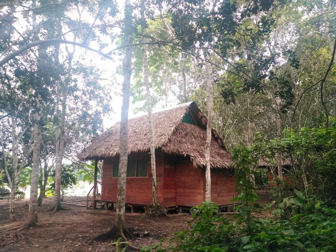 Majacho'S House Hostel Пуерто Малдонадо Екстериор снимка
